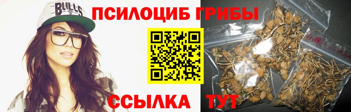 Псилоцибиновые грибы мицелий Ивантеевка