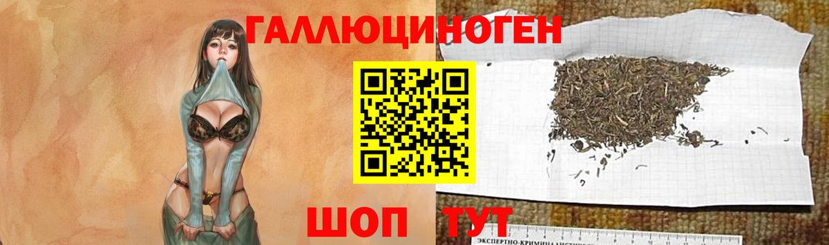 Ивантеевка  где продают наркотики  Псилоцибиновые грибы ЛСД  Вход с VPN  Псилоцибиновые грибы ЛСД 